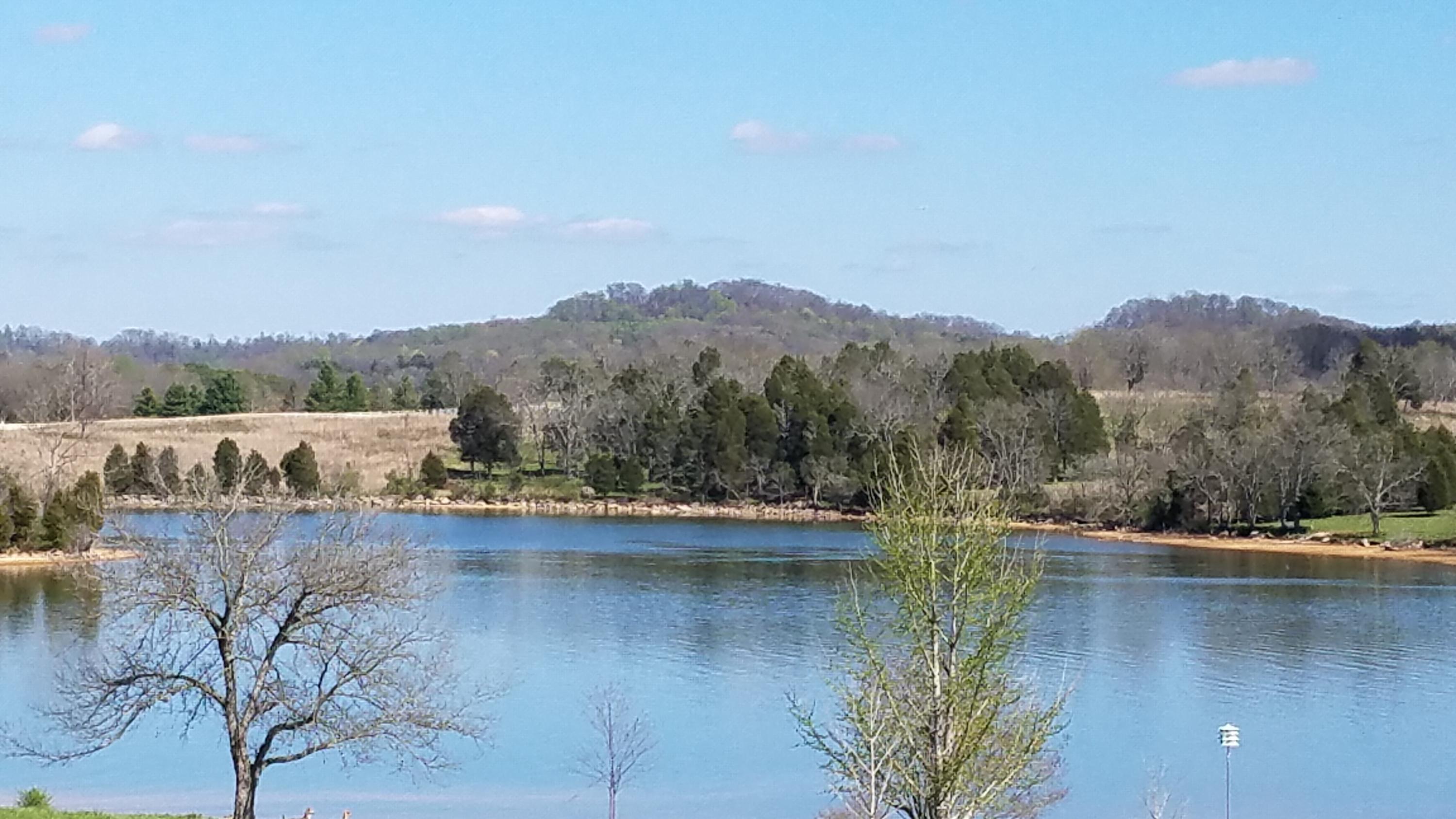 Loudon View Friendsville, TN 37737 - Photo 16 of 25 20170401_155851