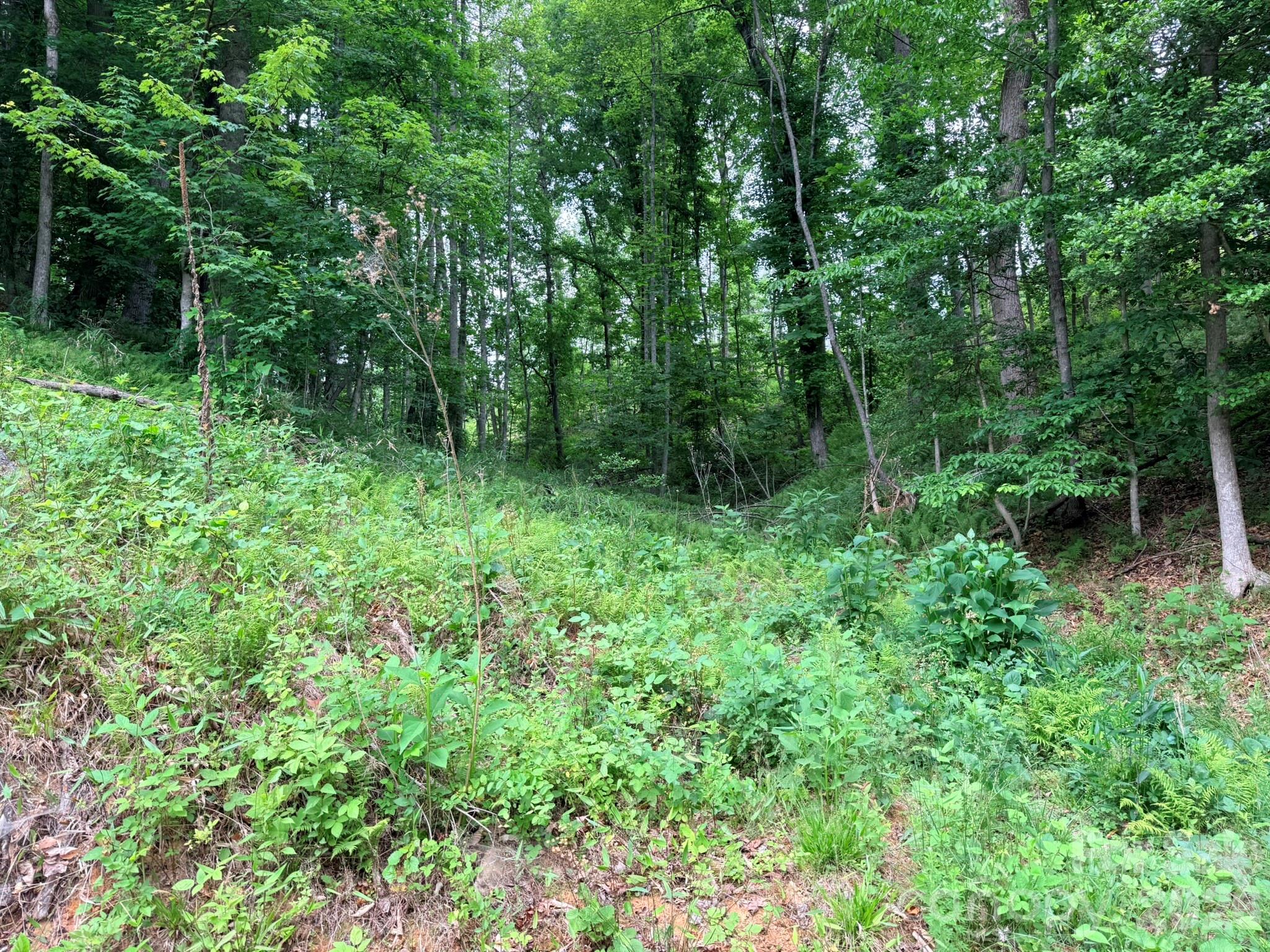 Tbd North Marley Ford Road Ferguson, NC 28624 - Photo 2 of 26
