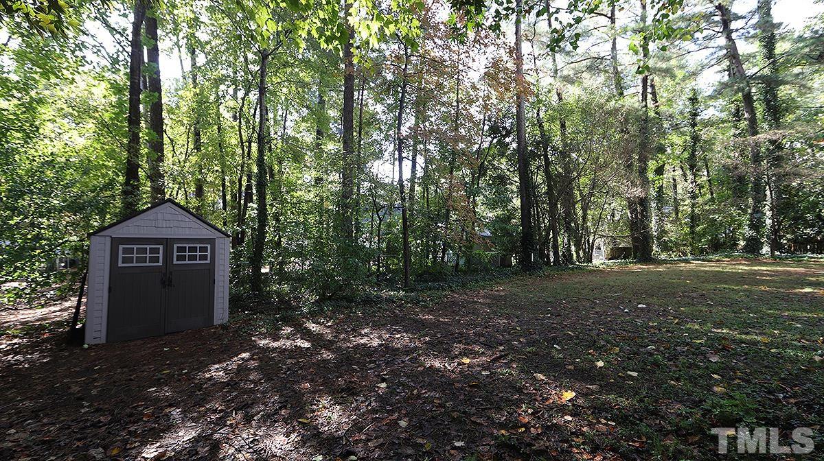 1104 Sapling Place Raleigh, NC 27615 - Photo 18 of 19 a view of a tree in the middle of a forest
