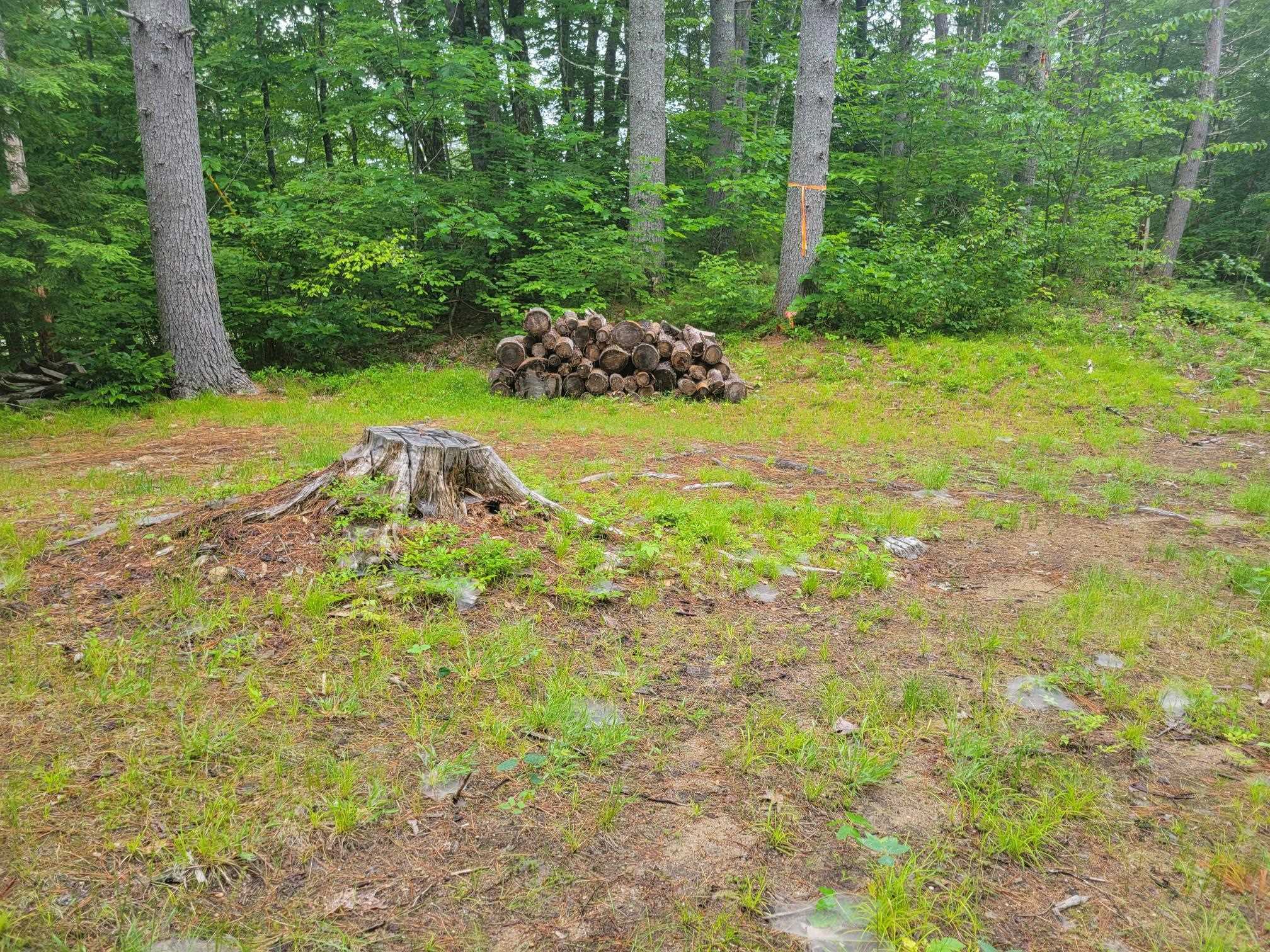 801 Browns Ridge Road Ossipee, NH 03864 - Photo 4 of 19