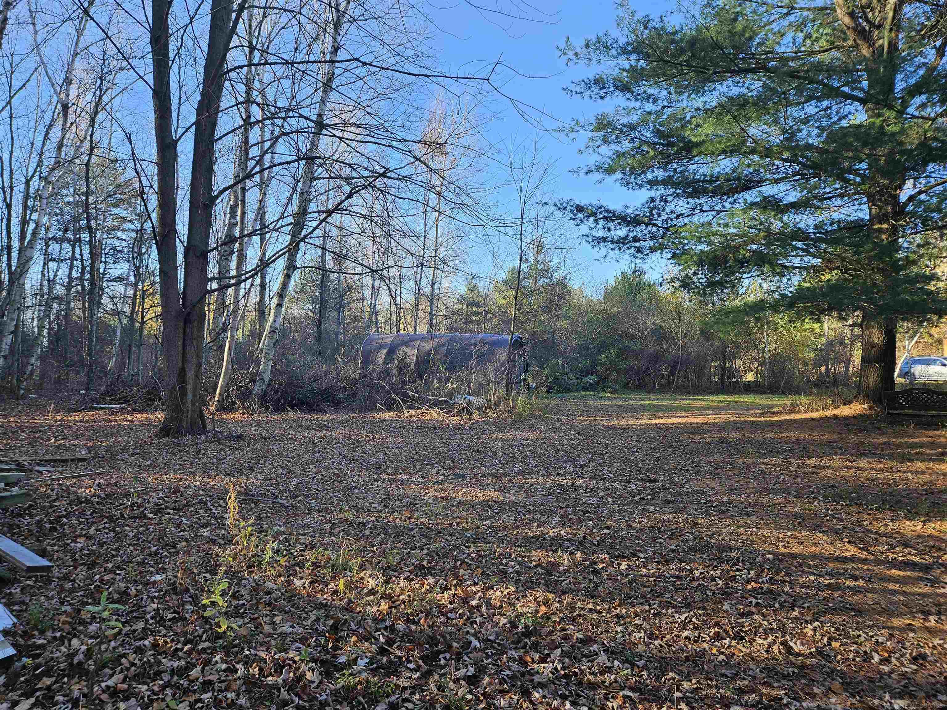 8281 Fargo Road Yale, MI 48097 - Photo 3 of 18