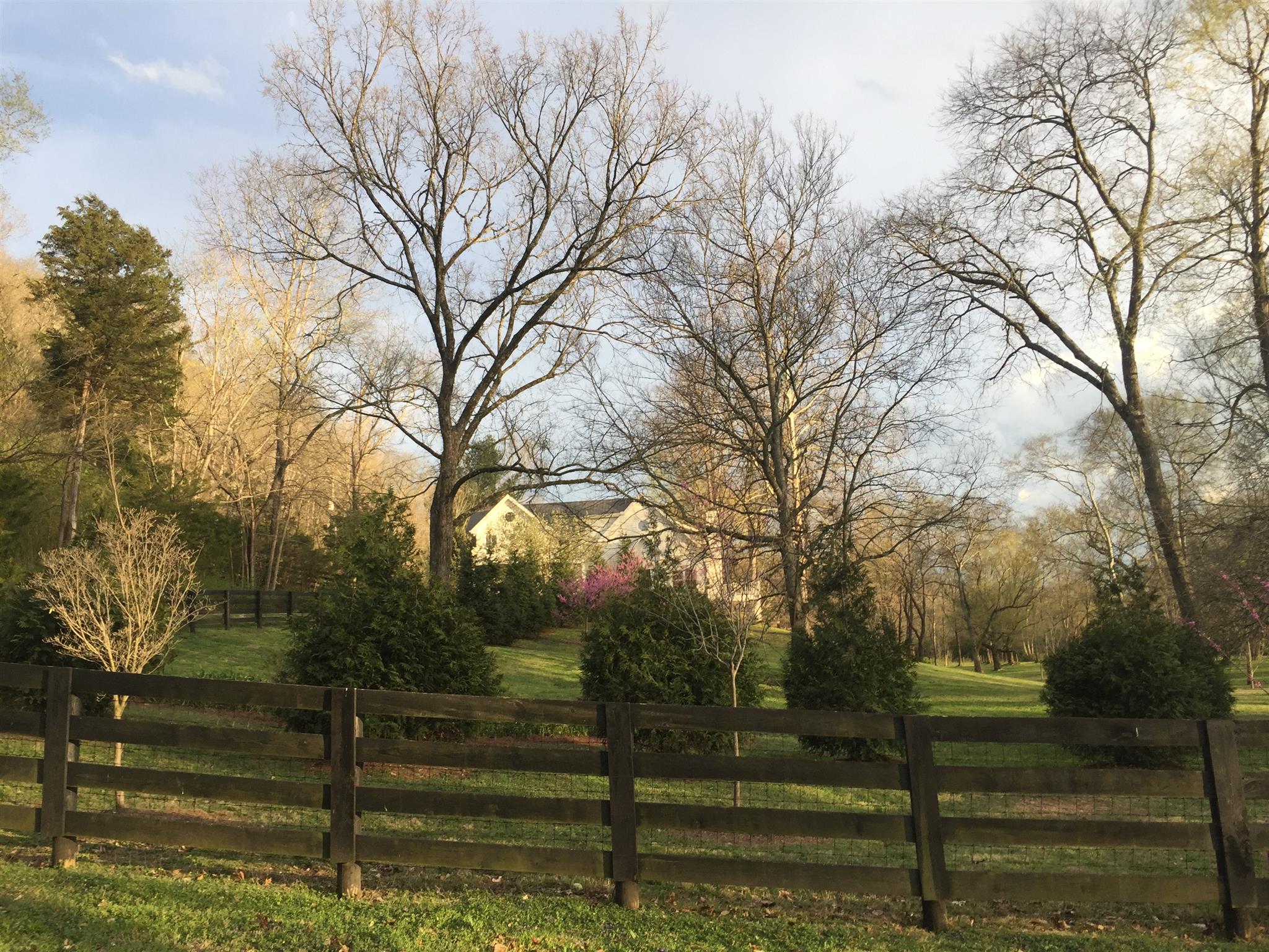 9366 Hester Beasley Road Nashville, TN 37221 - Photo 2 of 29 The View from the Private Drive Is Absolutely Gorgeous!