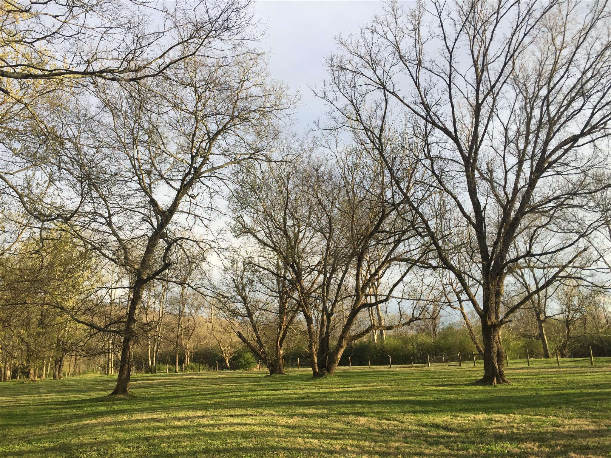 9366 Hester Beasley Road Nashville, TN 37221 - Photo 29 of 29 This Gorgeous, Private Land Levels Offs Near the Harpeth River and is Perfect for Leisurely Walks!
