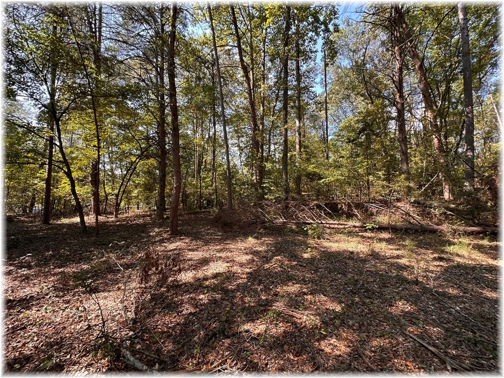 0 Coneross Park Road Townville, SC 29689 - Photo 18 of 25 Gallery Image 18