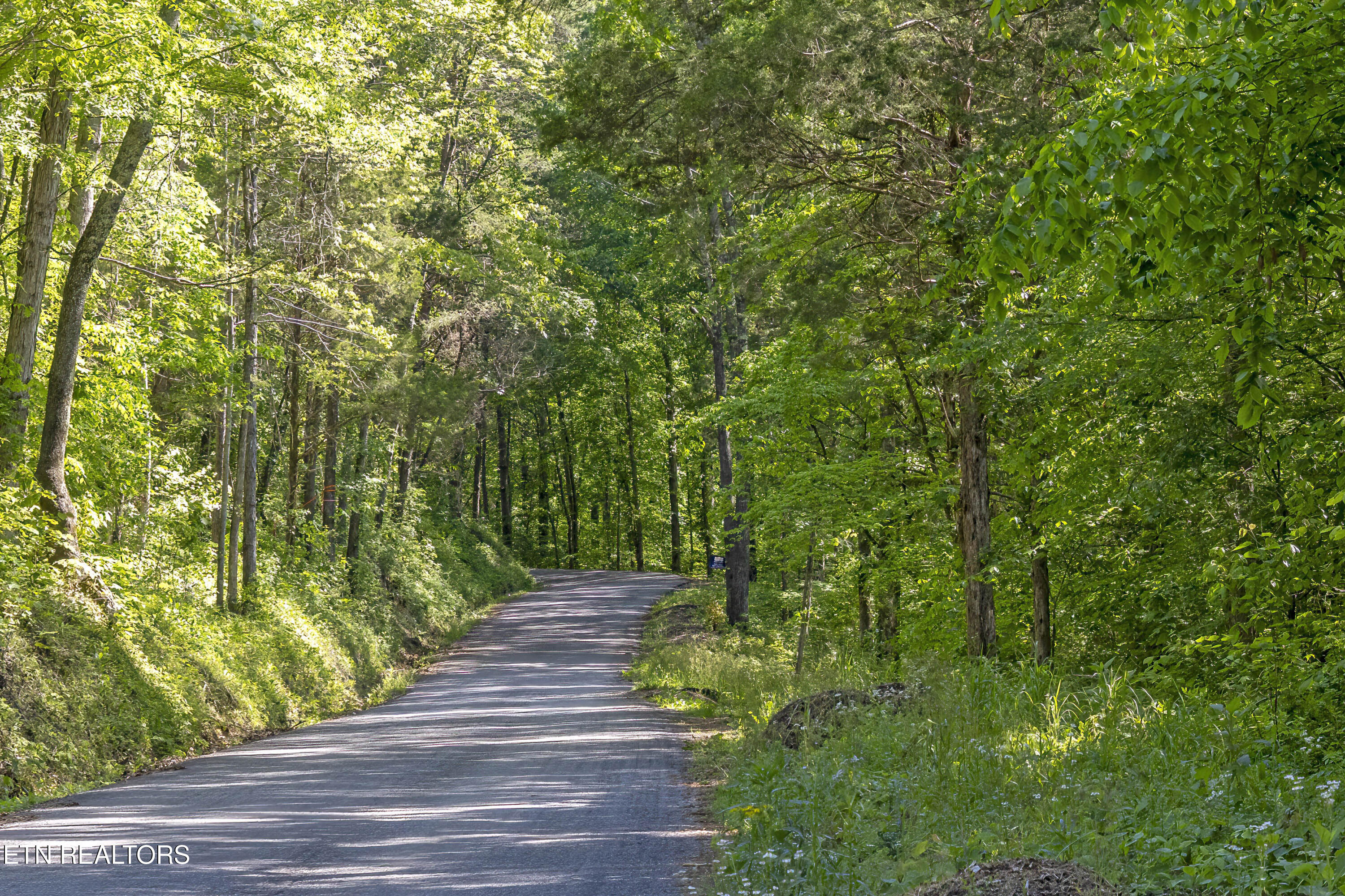 121 County Road Athens, TN 37303 - Photo 4 of 8 Roadside