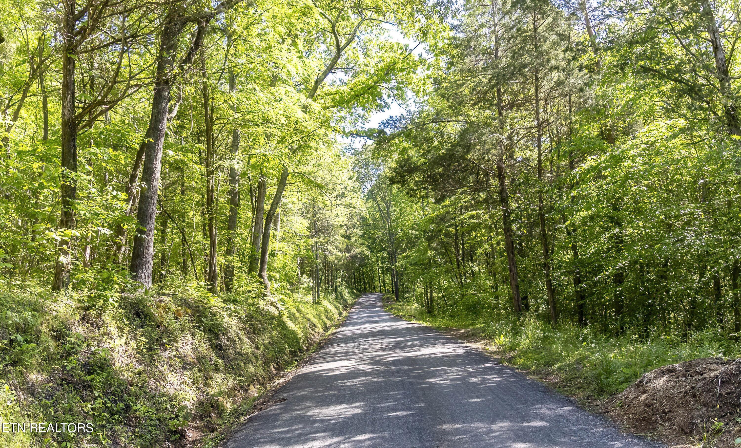 121 County Road Athens, TN 37303 - Photo 5 of 8 Roadside