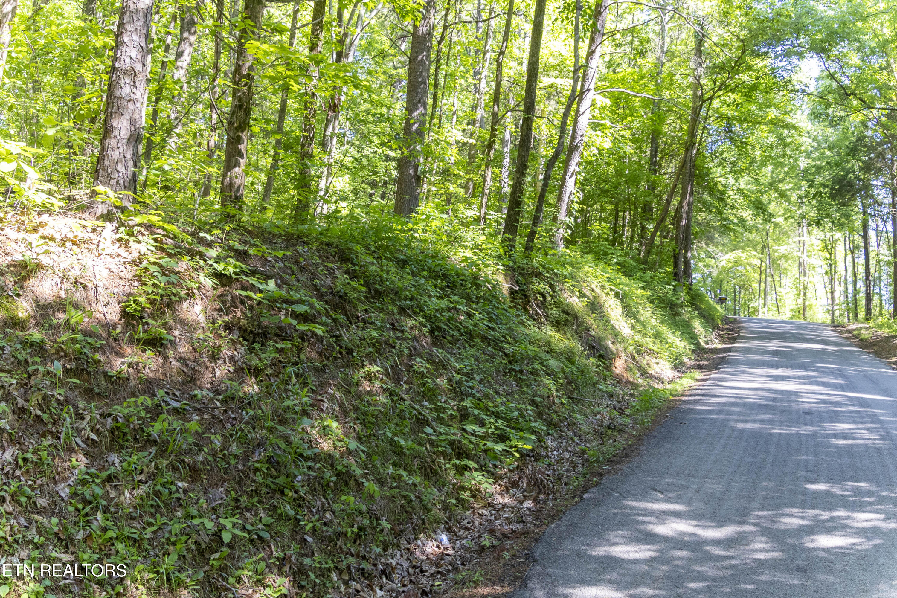 121 County Road Athens, TN 37303 - Photo 8 of 8 Roadside