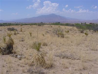 0 Horse Ride Place Benson, AZ 85602 - Photo 3 of 4