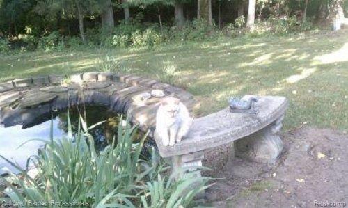 1353 Barneswood Lane Rochester, MI 48306 - Photo 24 of 25 Beautiful pond in Summer