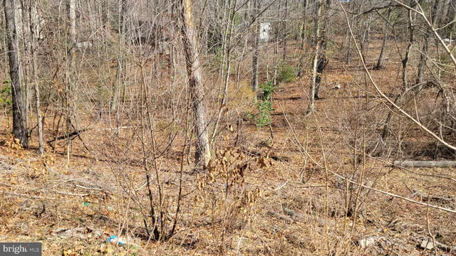 a view of wooden floor