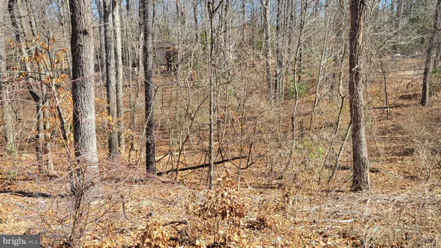 $24,650 | 11436 Stirrup Lane, Lusby, MD 20657