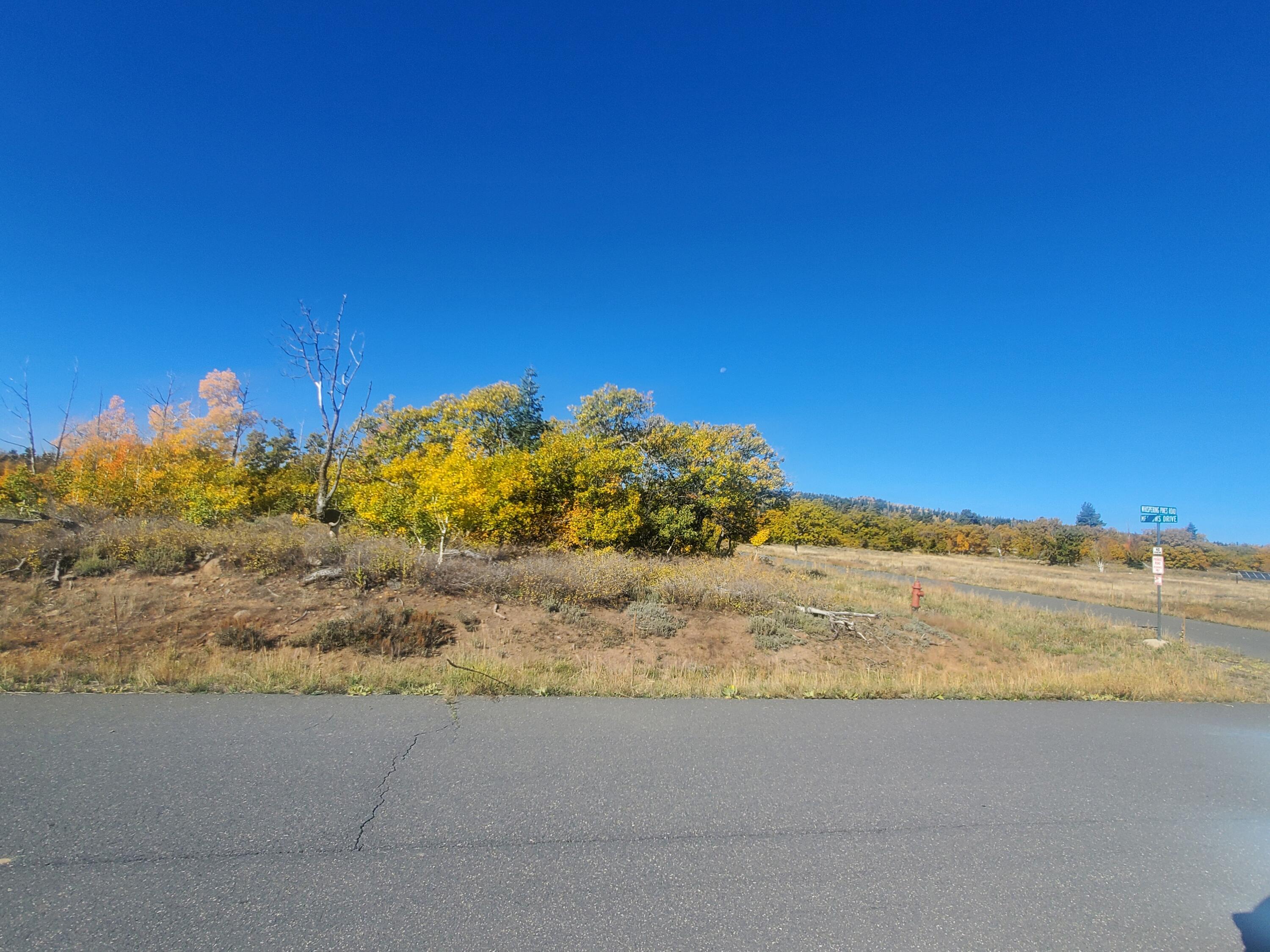 Kolob Terrace Road Springdale, UT 84767 - Photo 12 of 13 20221014_105627