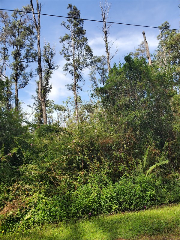 358 Lanai Road Pahoa, HI 96778 - Photo 2 of 7 Gallery Image 2
