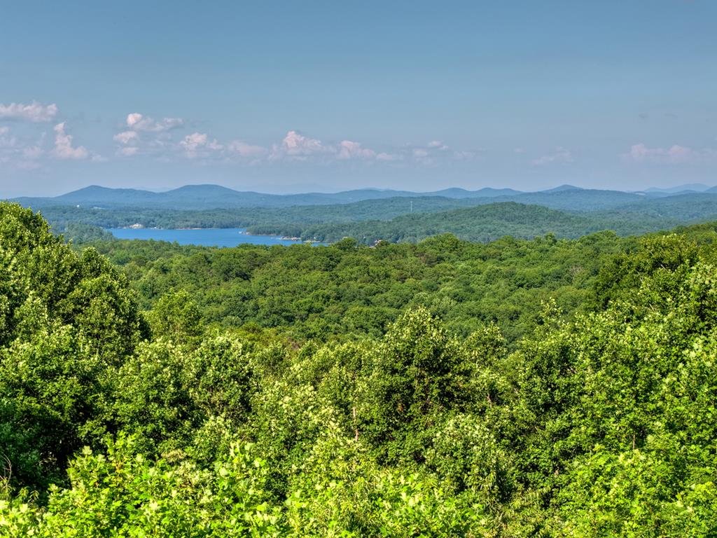 394 Snake Mountain Road Blue Ridge, GA 30513 - Photo 73 of 89 Gallery Image 73