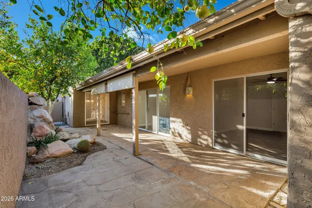 a view of backyard with large trees and plants