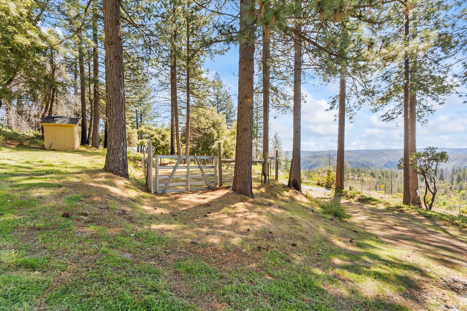 30155 Turkey Hill Road Foresthill, CA 95631 - Photo 30 of 46