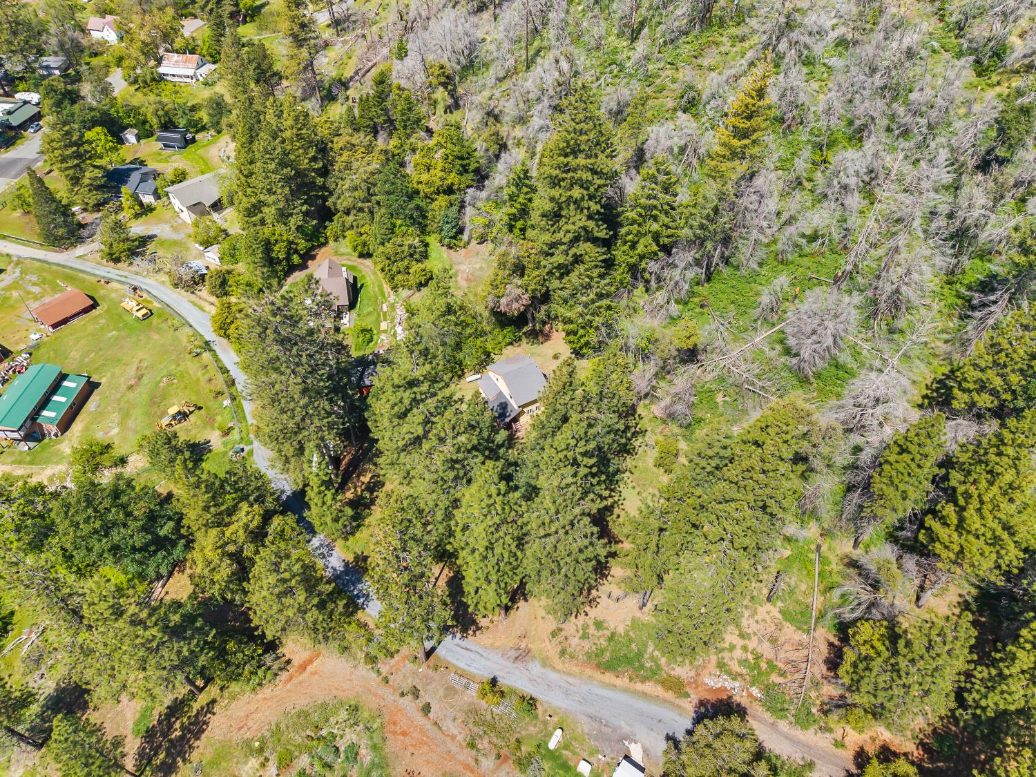 30155 Turkey Hill Road Foresthill, CA 95631 - Photo 38 of 46
