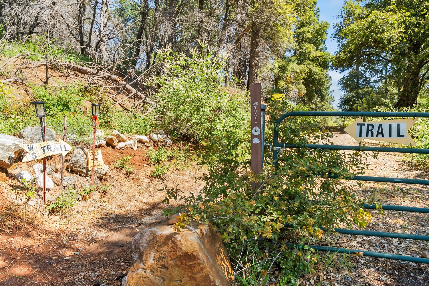 30155 Turkey Hill Road Foresthill, CA 95631 - Photo 41 of 46