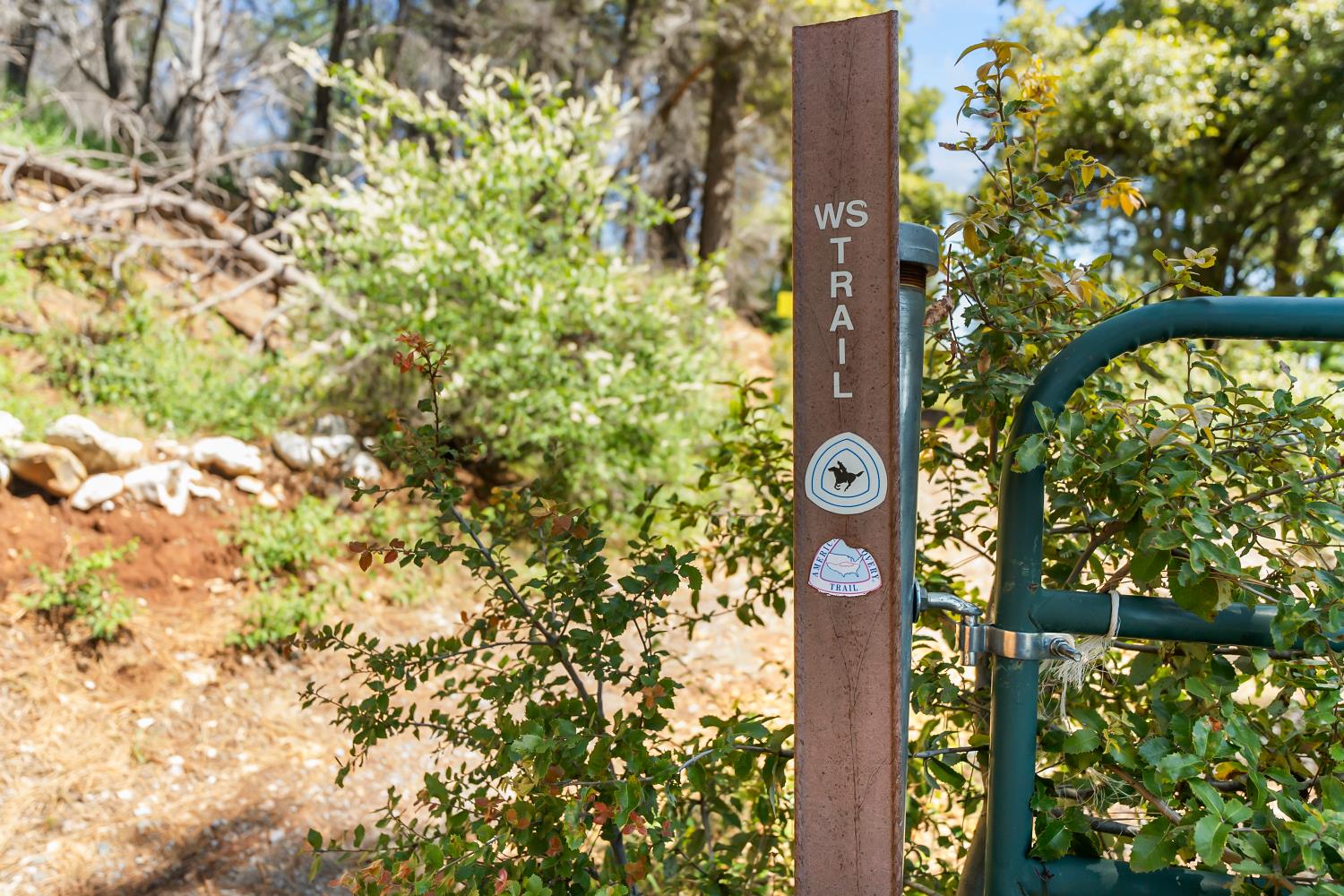 30155 Turkey Hill Road Foresthill, CA 95631 - Photo 42 of 46