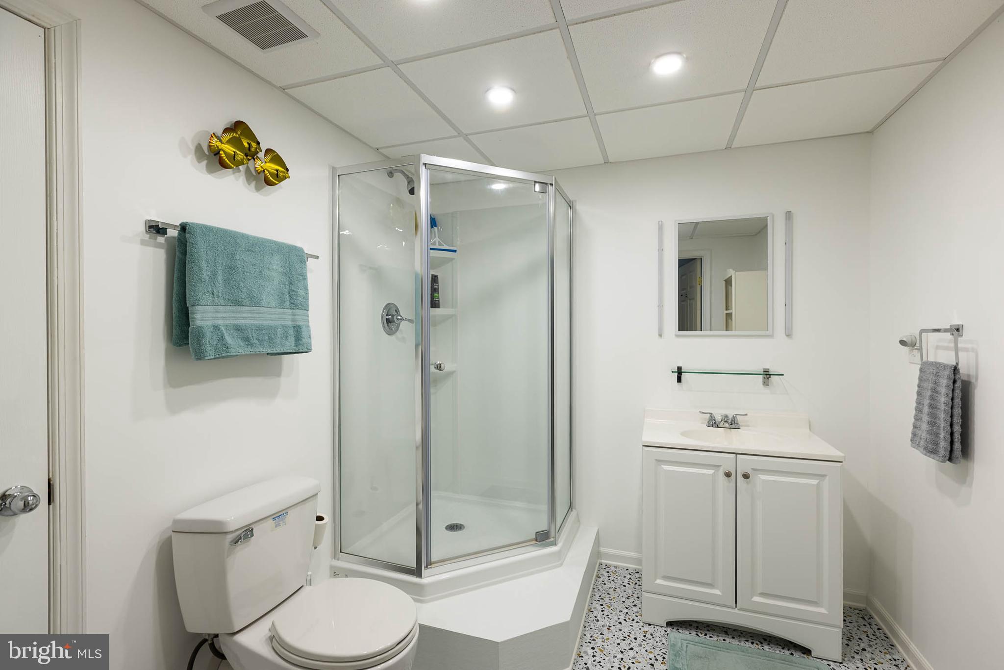 4825 Cap Stine Road Frederick, MD 21703 - Photo 37 of 52 Basement bathroom