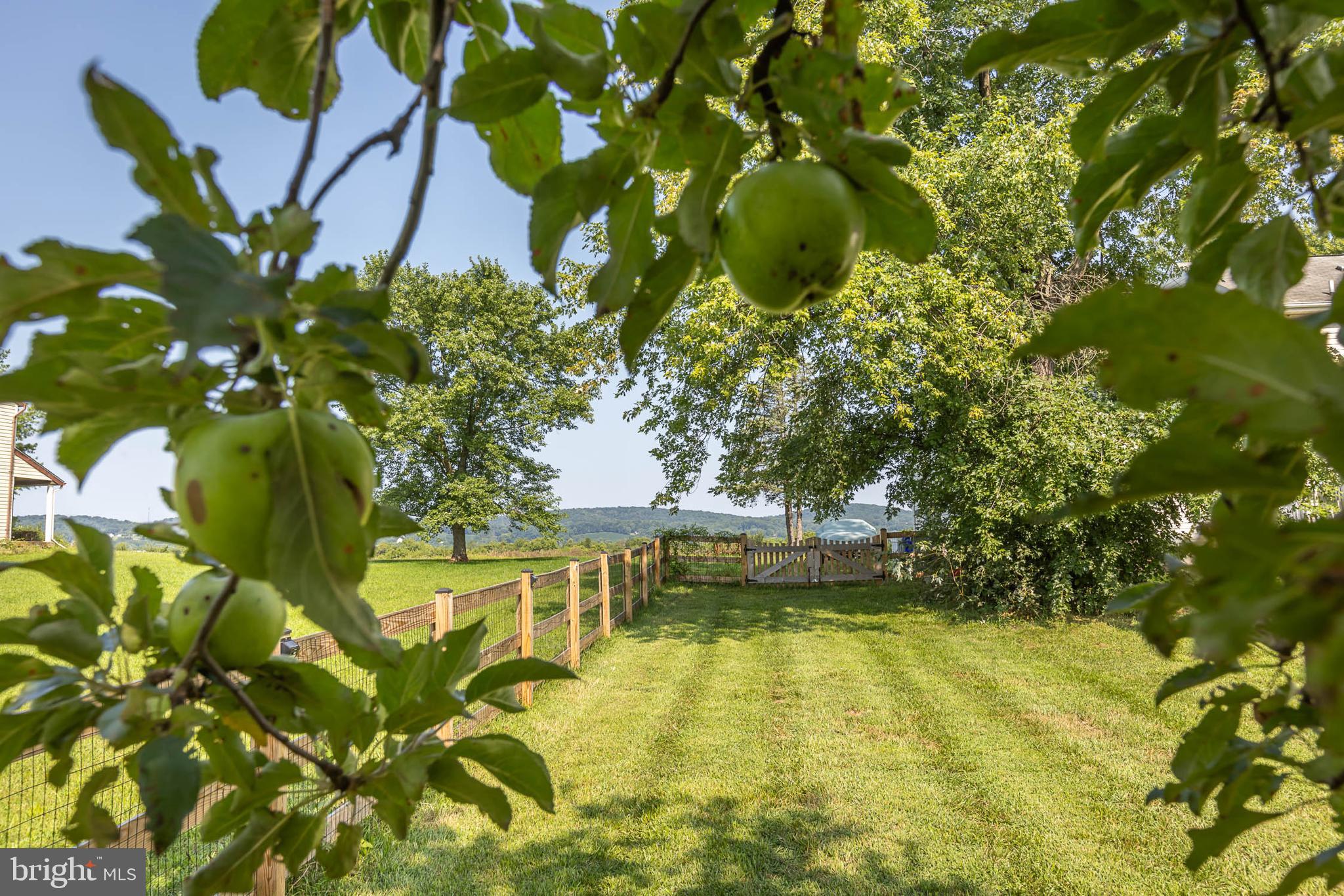 4825 Cap Stine Road Frederick, MD 21703 - Photo 42 of 52 Backyard, partially fenced. 3 gates.