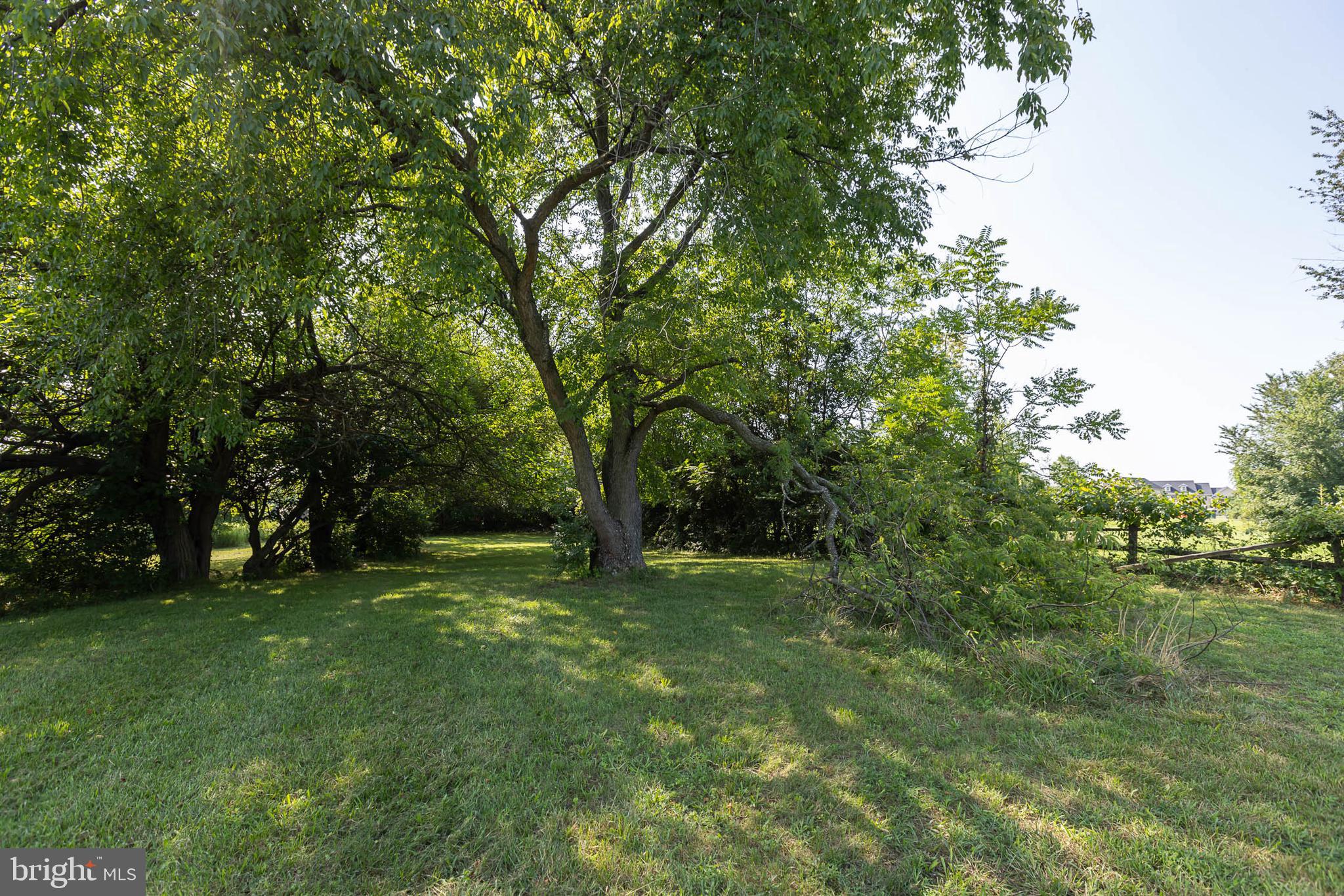 4825 Cap Stine Road Frederick, MD 21703 - Photo 46 of 52