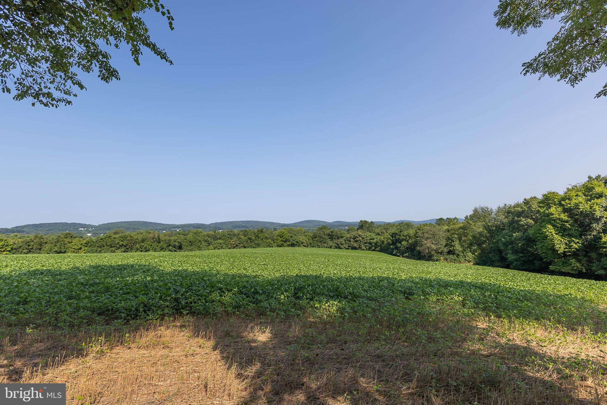 4825 Cap Stine Road Frederick, MD 21703 - Photo 47 of 52