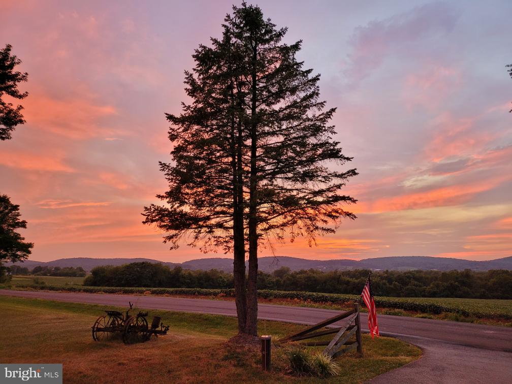 4825 Cap Stine Road Frederick, MD 21703 - Photo 50 of 52