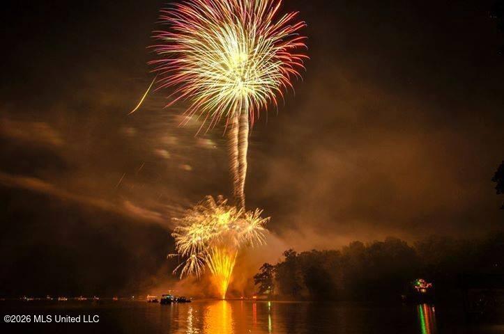 180 Red Oak Road Ashland, MS 38603 - Photo 23 of 33 July 4th Celebration
