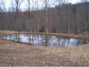 0 Dicks Run Reedy, WV 25270 - Photo 5 of 7 View of pond from above