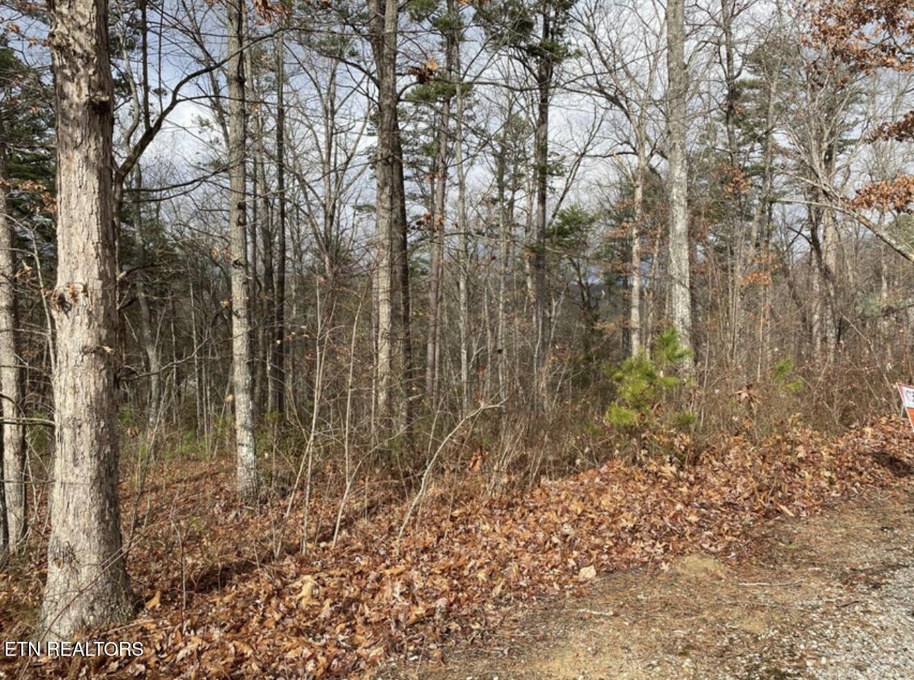 Eagle Bluff Jamestown, TN 38556 - Photo 2 of 21 IMG_4654