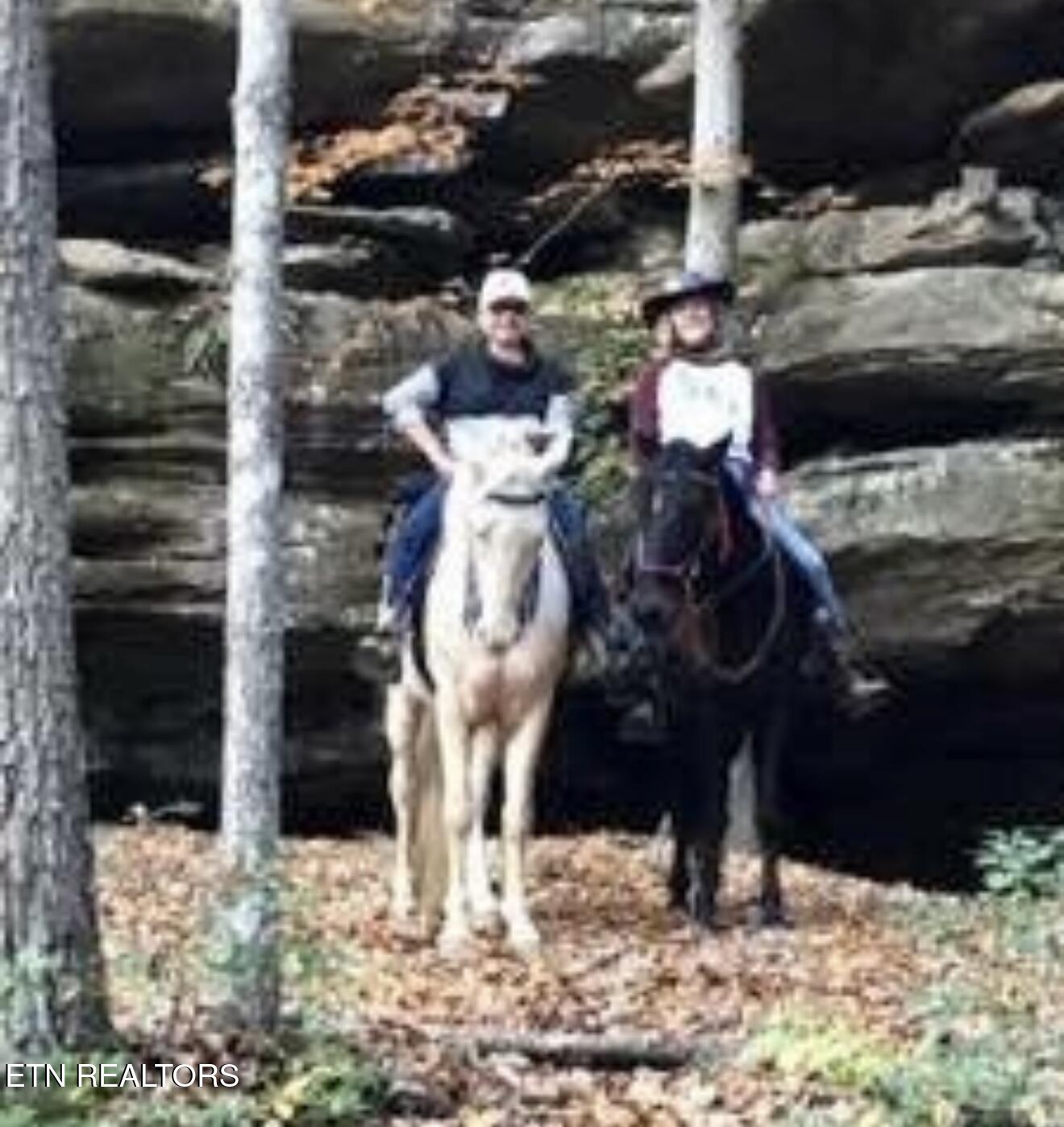 Eagle Bluff Jamestown, TN 38556 - Photo 21 of 21 IMG_4726