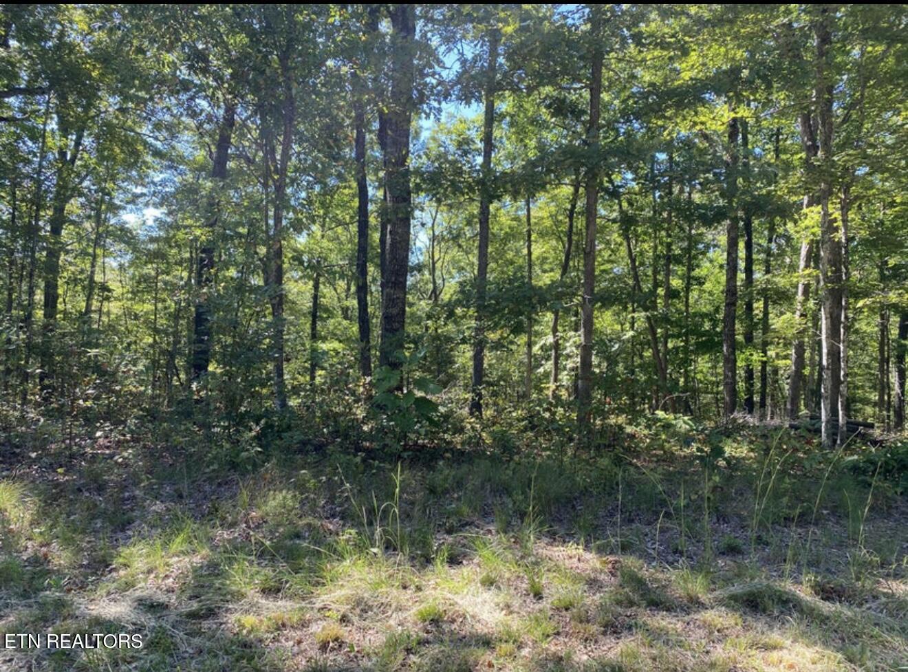 Eagle Bluff Jamestown, TN 38556 - Photo 3 of 21 IMG_4657