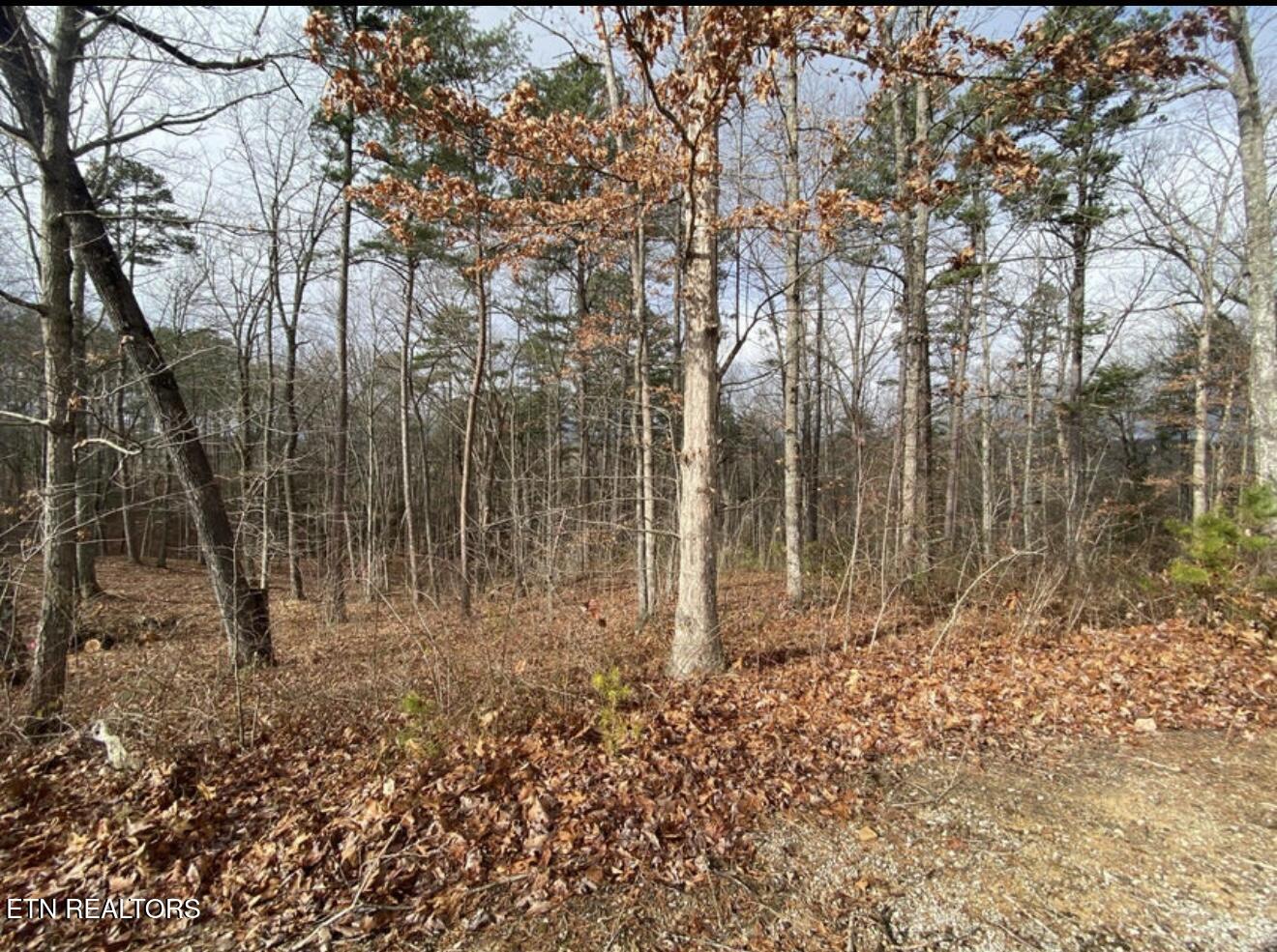 Eagle Bluff Jamestown, TN 38556 - Photo 33 of 37 IMG_4655