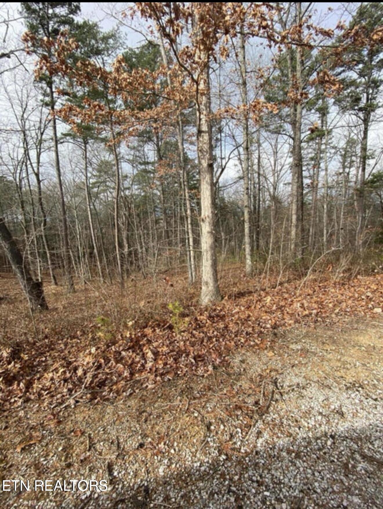 Eagle Bluff Jamestown, TN 38556 - Photo 4 of 21 IMG_4656