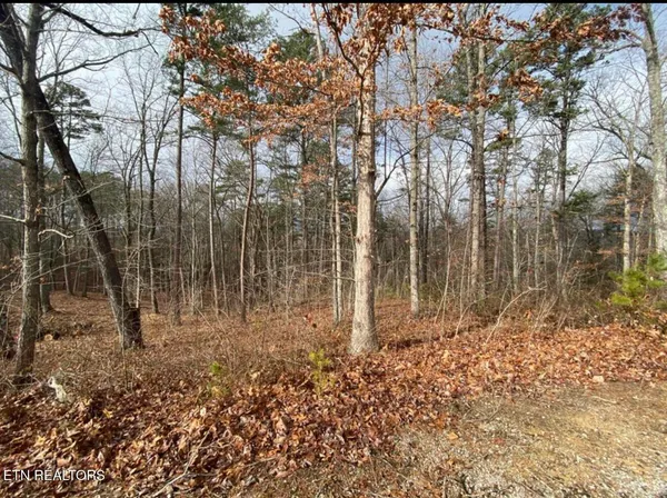 $110,000 | Eagle Bluff, Jamestown, TN 38556