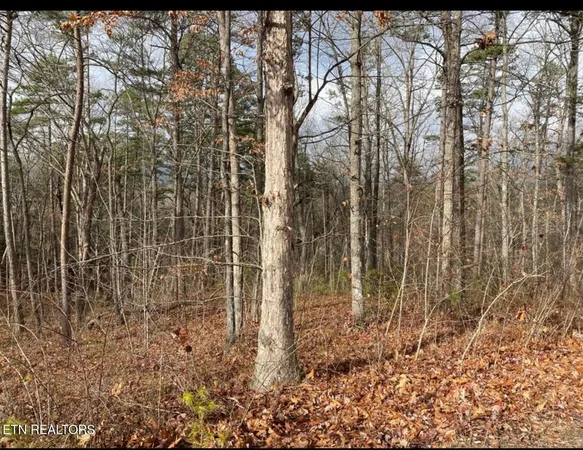 $110,000 | Eagle Bluff, Jamestown, TN 38556