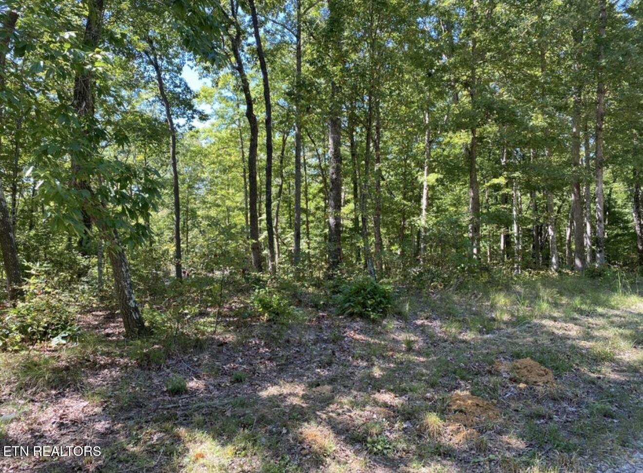 Eagle Bluff Jamestown, TN 38556 - Photo 9 of 21 IMG_4659