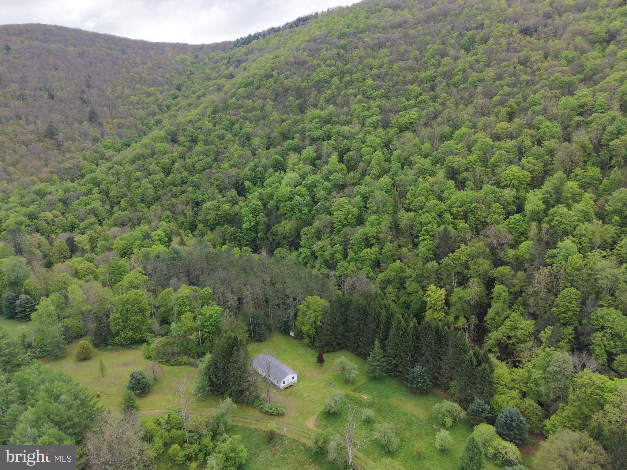 1227 Cross Fork Creek Road Cross Fork, PA 17729 - Photo 10 of 139