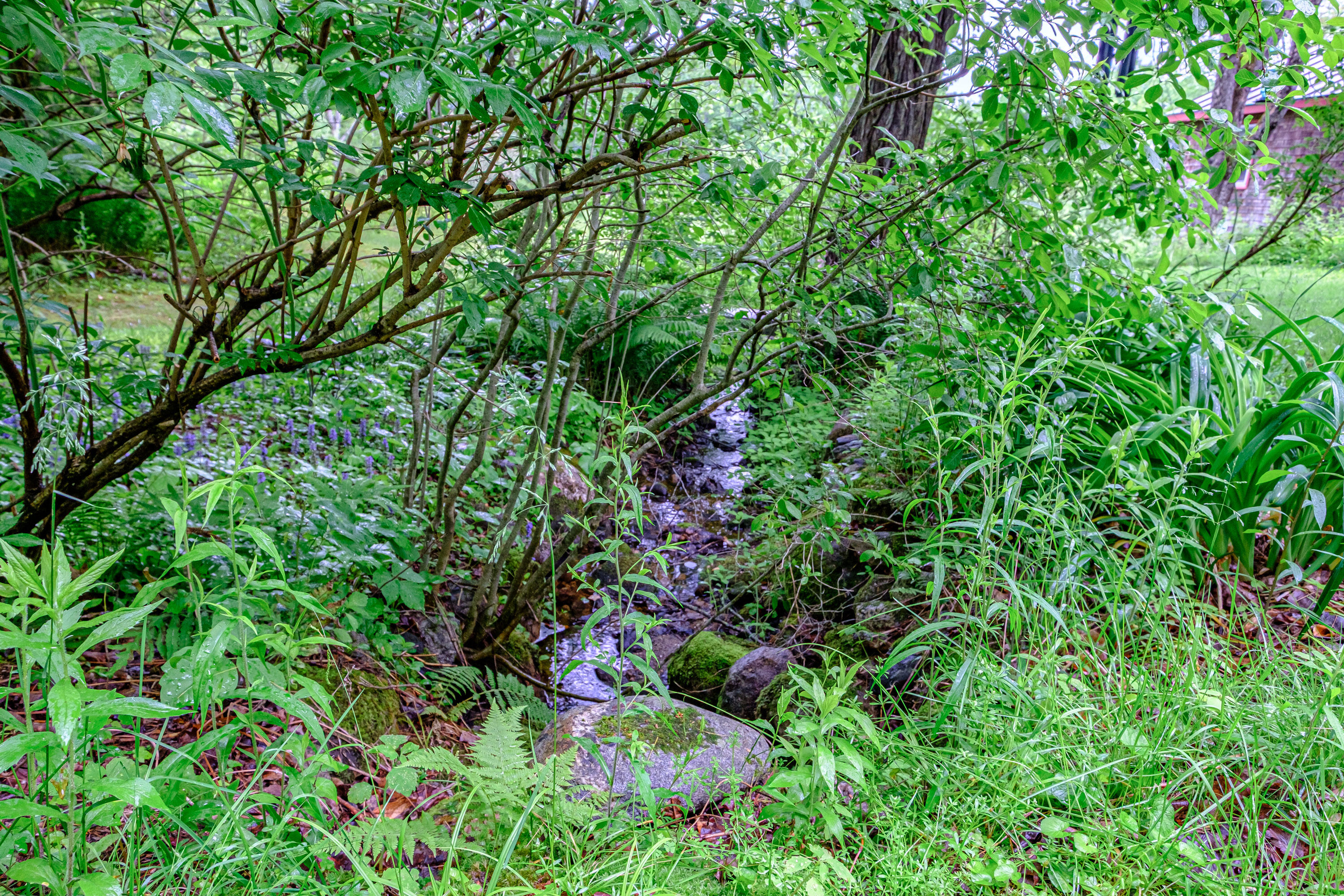 115 Wards Hill Road Baldwin, ME 04091 - Photo 11 of 77 20250610gp-64004