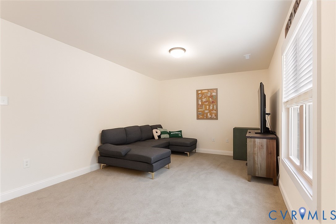 2715 Ballsville Road Powhatan, VA 23139 - Photo 26 of 30 Living area featuring light colored carpet and bas