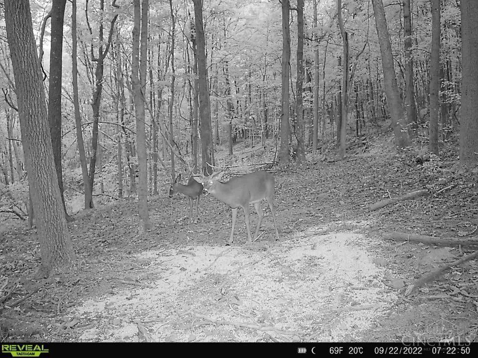 0 Green Ridge Road Peebles, OH 45660 - Photo 31 of 34 Gallery Image 31