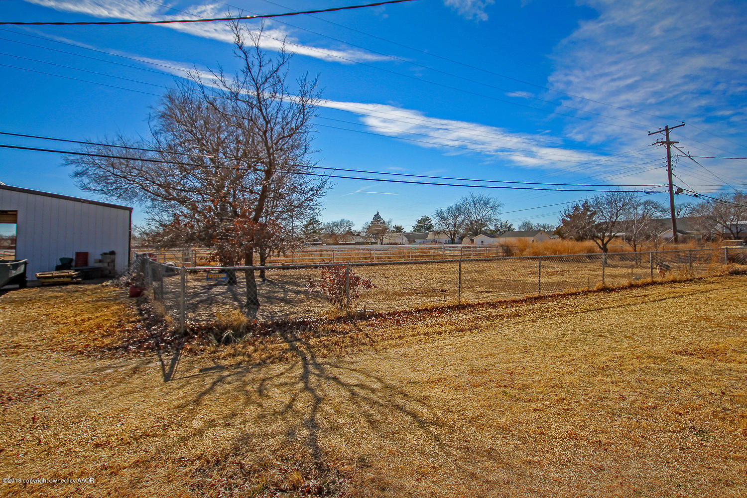 5021 Arden Road Amarillo, TX 79110 - Photo 36 of 38 Dog Run