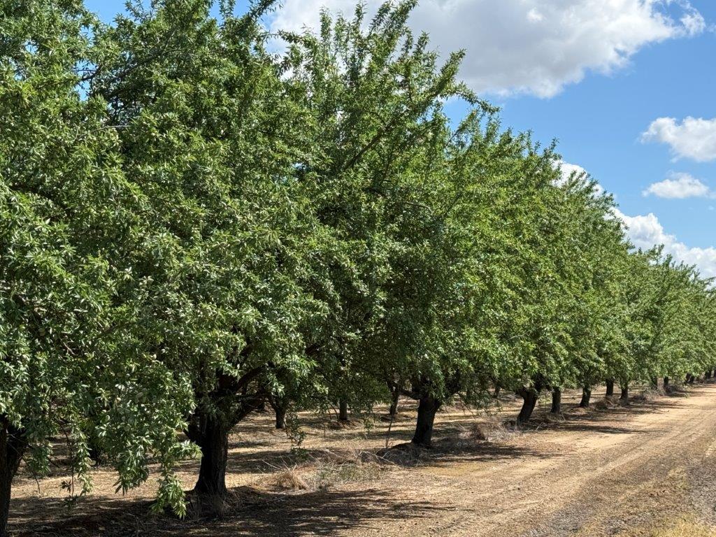 a view of outdoor space with trees