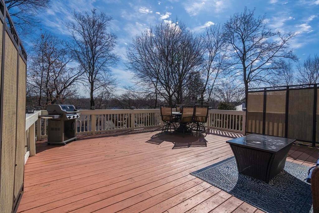 9 Goodnough Road Brookline, MA 02467 - Photo 27 of 27