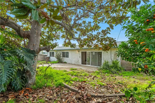 a view of a backyard