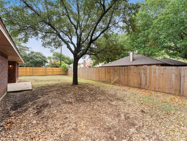 a view of backyard with tree