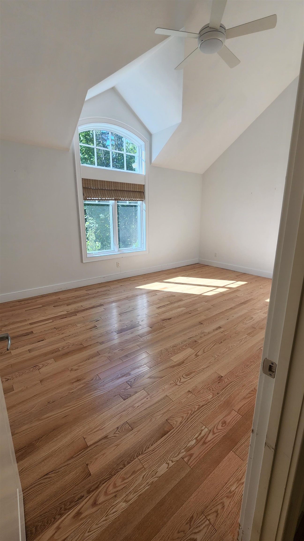 27 Putney Road Dunbarton, NH 03046 - Photo 18 of 37