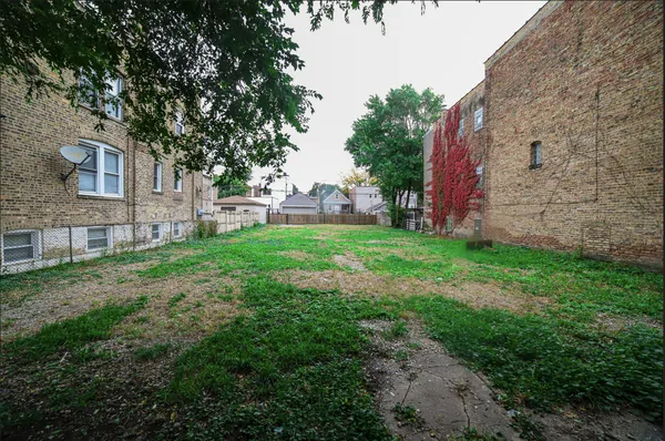 a view of a backyard with large trees