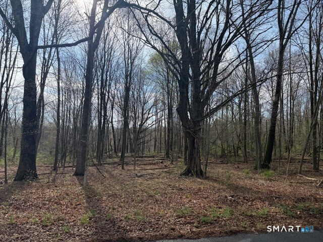 350 Deercliff Road Avon, CT 06001 - Photo 4 of 5